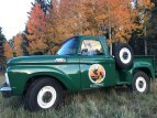 Thumbnail Photo 2 for 1964 Ford F100 2WD Regular Cab